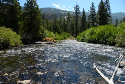 DSC_0224 (Large).JPG